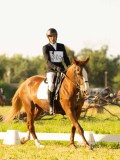 DSC08766 DSC08766