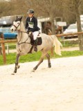 DSC07556 DSC07556