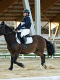 DSC07919 DSC07919