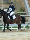 DSC07924 DSC07924