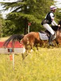 DSC04460 DSC04460
