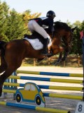 DSC09461 DSC09461
