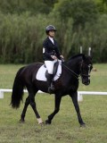 IMG_3248 IMG_3248