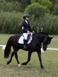 IMG_3252 IMG_3252