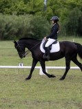 IMG_3254 IMG_3254