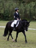 IMG_3261 IMG_3261