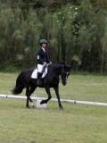 IMG_3262 IMG_3262