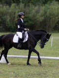 IMG_3264 IMG_3264