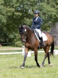 IMG_1169 IMG_1169