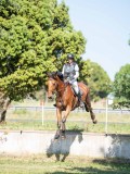 DSC08435 DSC08435