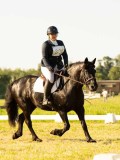 DSC08776 DSC08776