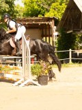 DSC09314 DSC09314