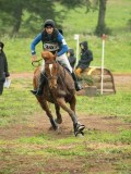 DSC08329 DSC08329