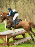 DSC08333 DSC08333