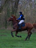 IMG_0678 IMG_0678