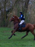 IMG_0679 IMG_0679