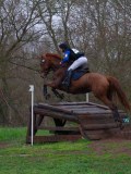 IMG_0682 IMG_0682