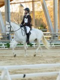 DSC07956 DSC07956