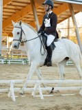 DSC07966 DSC07966