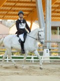 DSC07969 DSC07969
