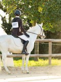 DSC07975 DSC07975
