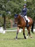 IMG_1195 IMG_1195