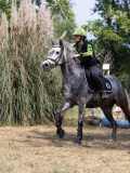 IMG_7180