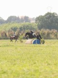 DSC00626