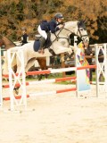 DSC07565 DSC07565