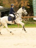 DSC07566 DSC07566