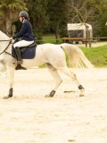 DSC07580 DSC07580