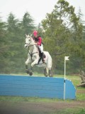 DSC08435 DSC08435