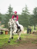 DSC08437 DSC08437