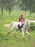 DSC08440 DSC08440