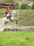 DSC08441 DSC08441