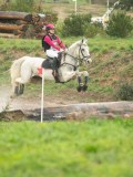 DSC08442 DSC08442