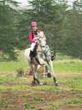 DSC08445 DSC08445