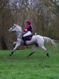 IMG_0785 IMG_0785