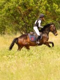DSC04525 DSC04525