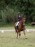 IMG_3291 IMG_3291