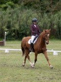 IMG_3293 IMG_3293