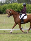 IMG_3295 IMG_3295