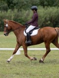 IMG_3296 IMG_3296