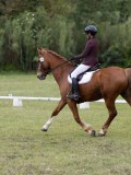 IMG_3297 IMG_3297