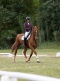 IMG_3300 IMG_3300