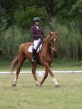 IMG_3301 IMG_3301