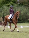 IMG_3303 IMG_3303