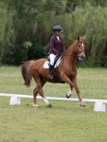 IMG_3305 IMG_3305