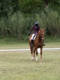 IMG_3314