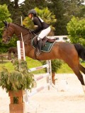 DSC05968 DSC05968